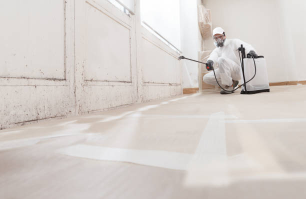 24/7 Emergency Basement Mold Removal experts in Short Hills, NJ